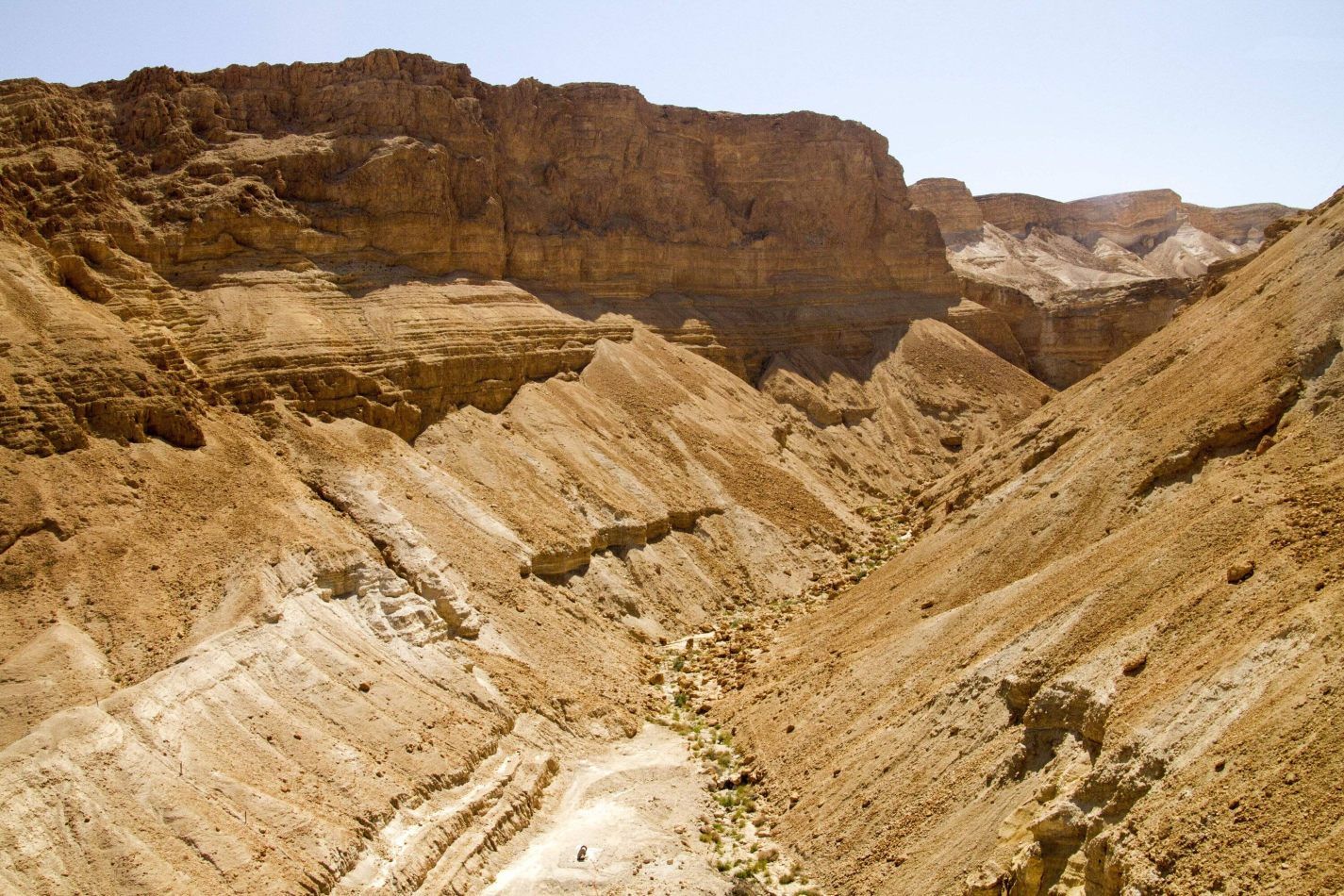 Storvandre: Masada