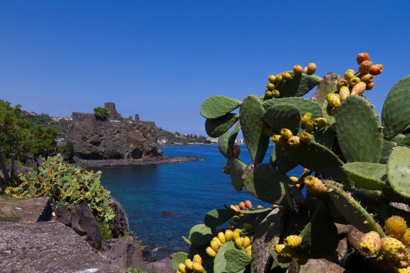 Storvandre: Aci Trezza