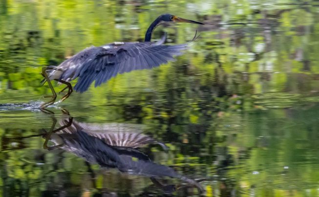 Sarasota to Islamorada Key
