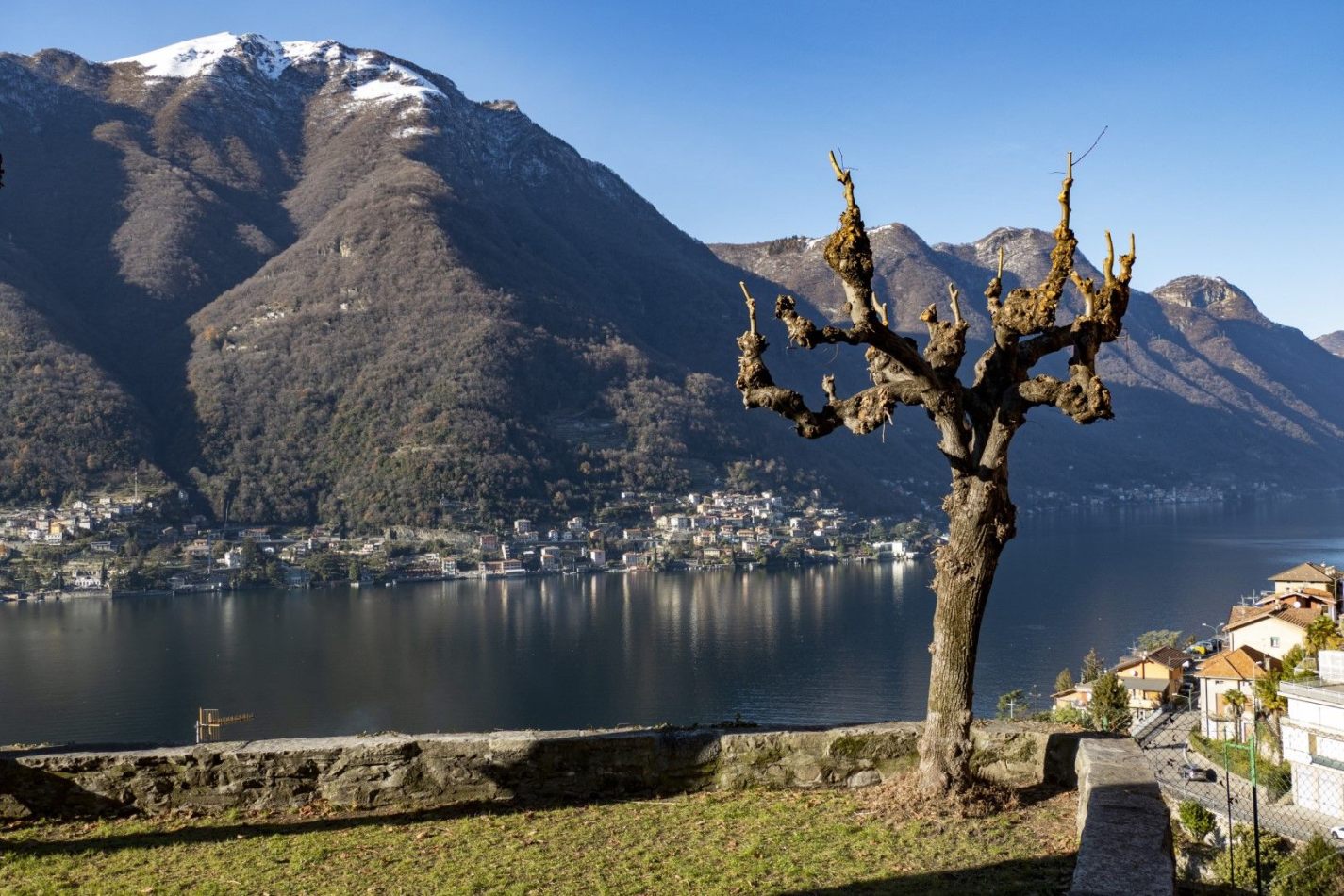 Storvandre: Pognana Lario