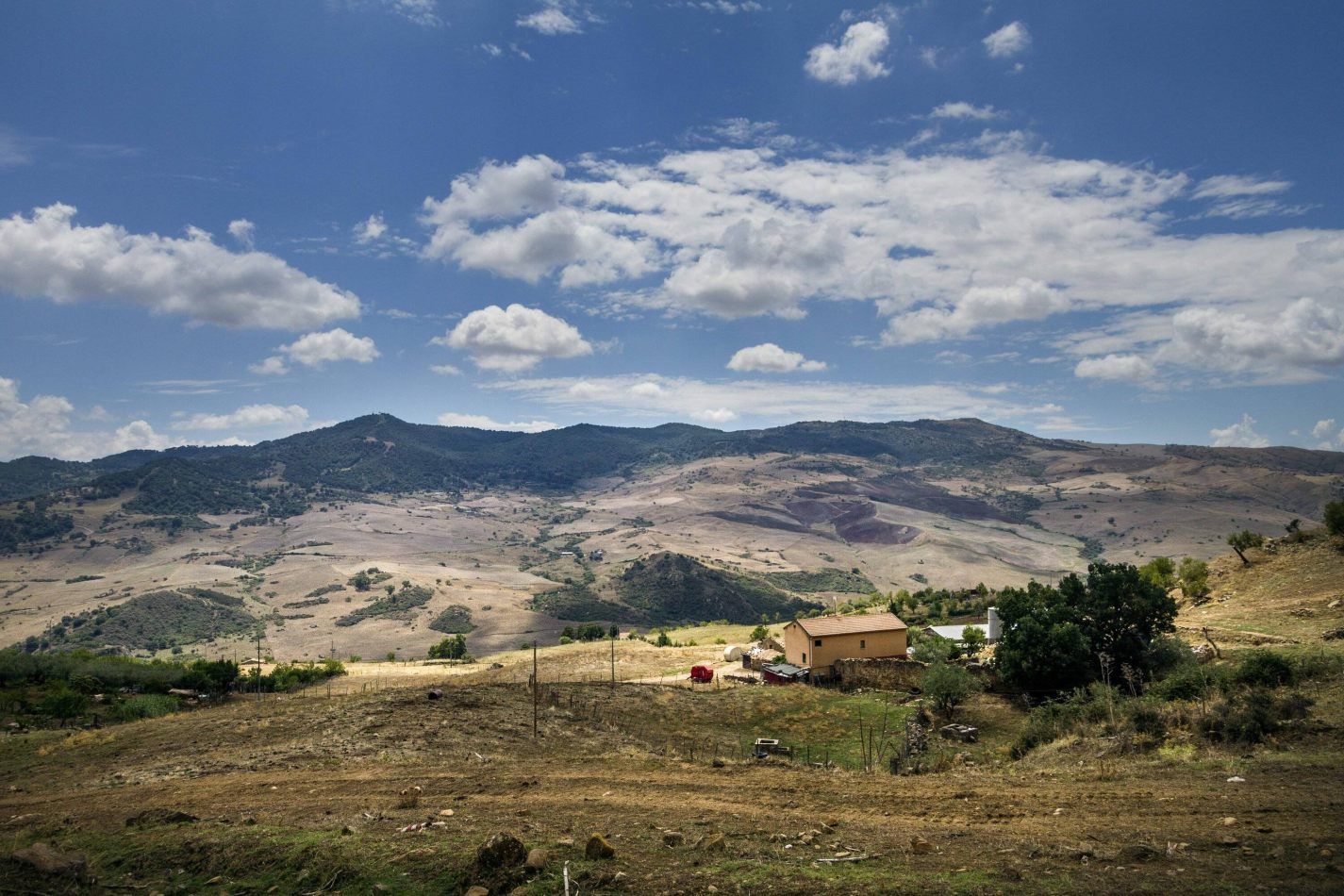 Storvandre: Madon� e