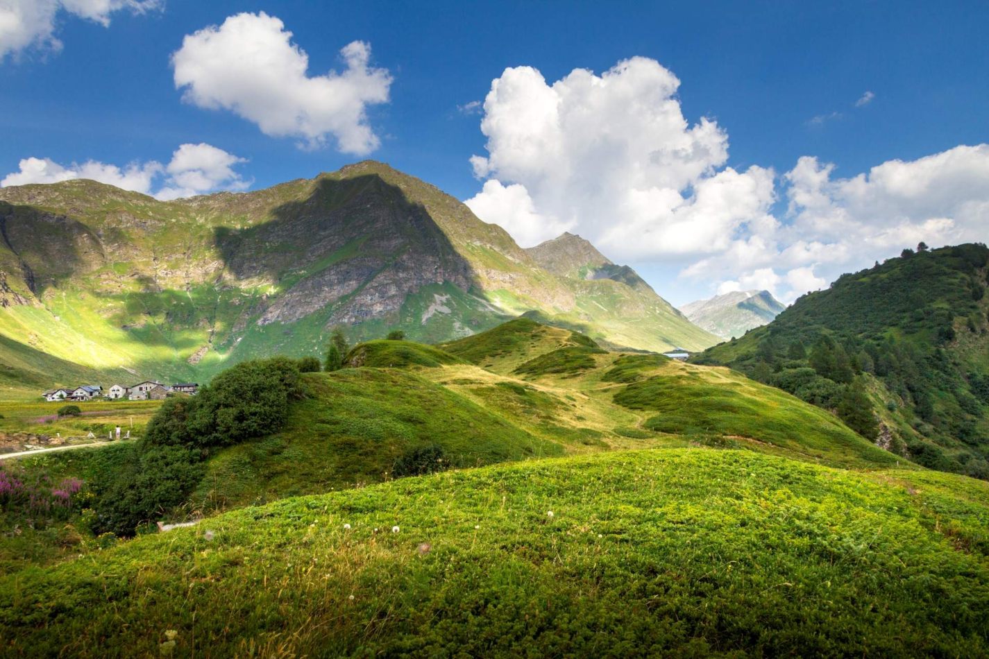 Storvandre: Ritom Lake