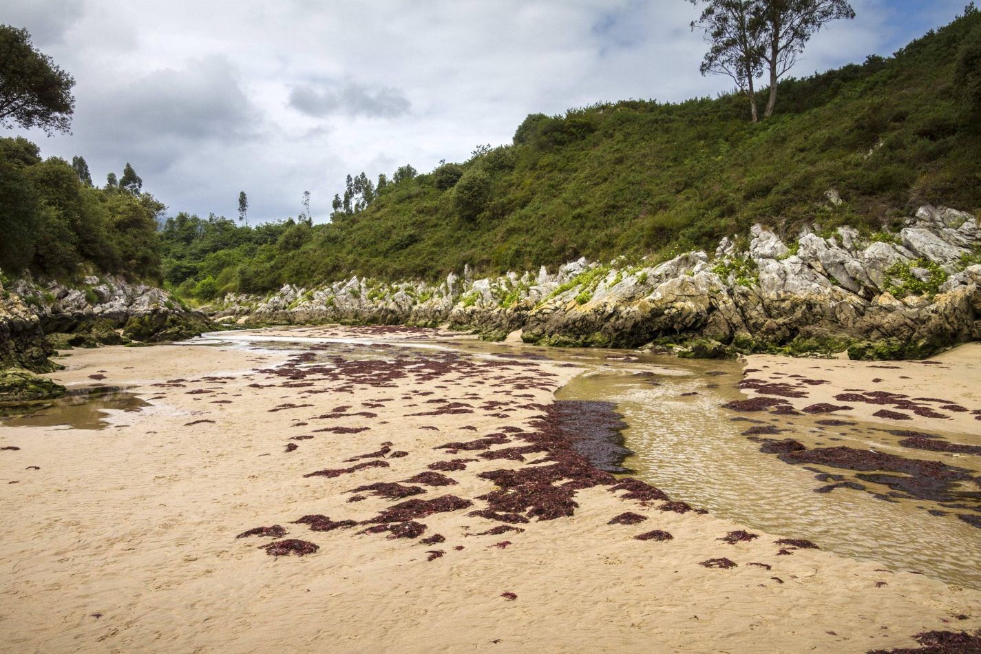 Storvandre: Playa de Guadamia