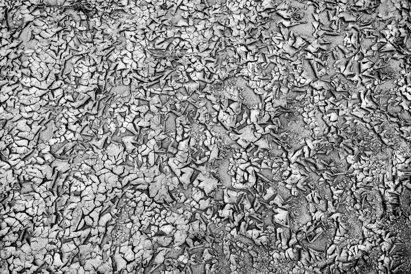 Storvandre: Golena del Po