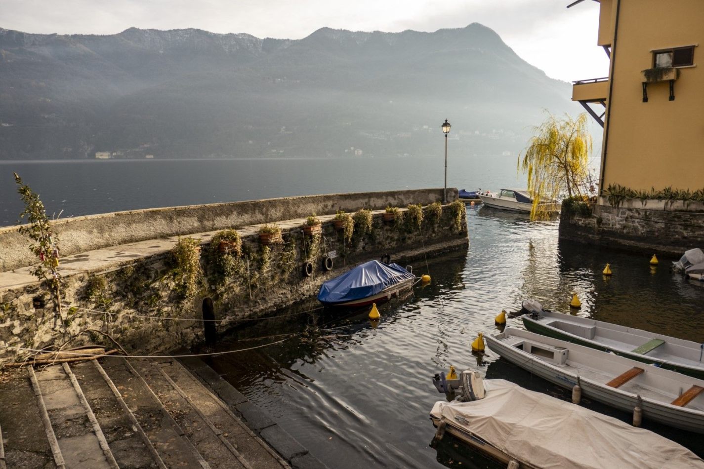 Storvandre: Carate Urio