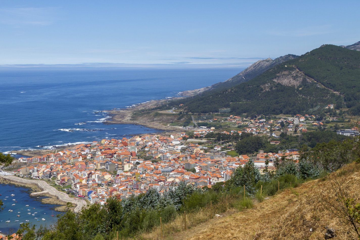 Storvandre: Santa Trega