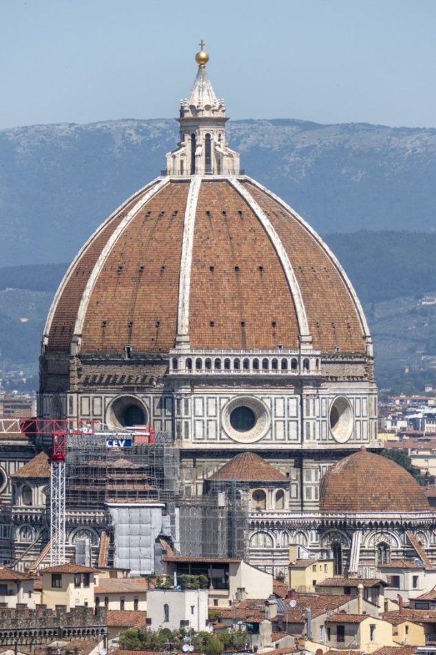 Storvandre: Florence