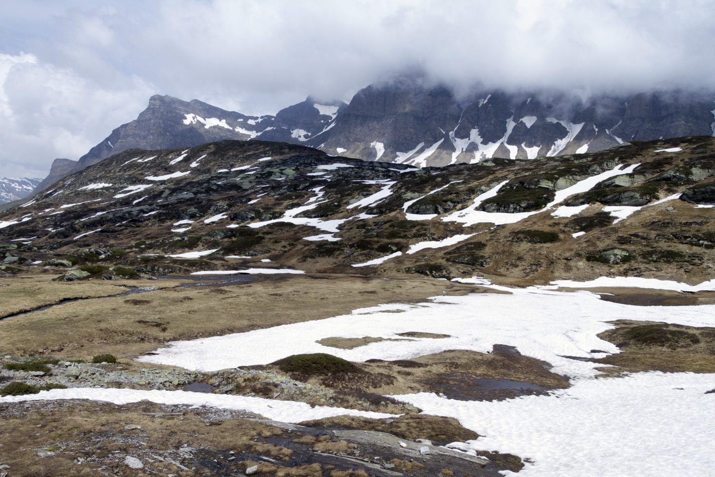 Storvandre: San Bernardino