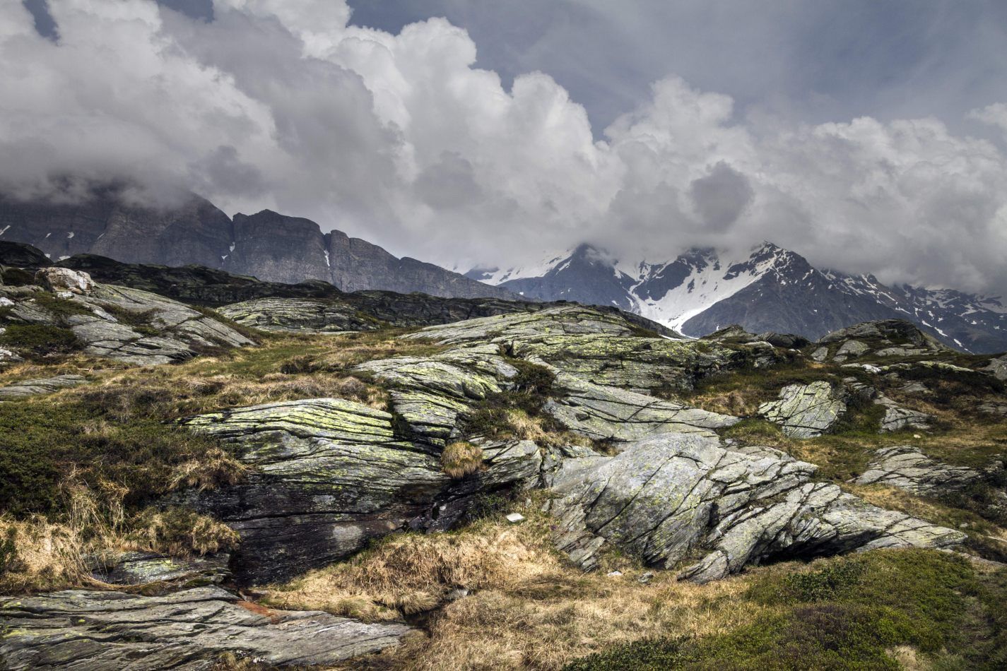 Storvandre: San Bernardino