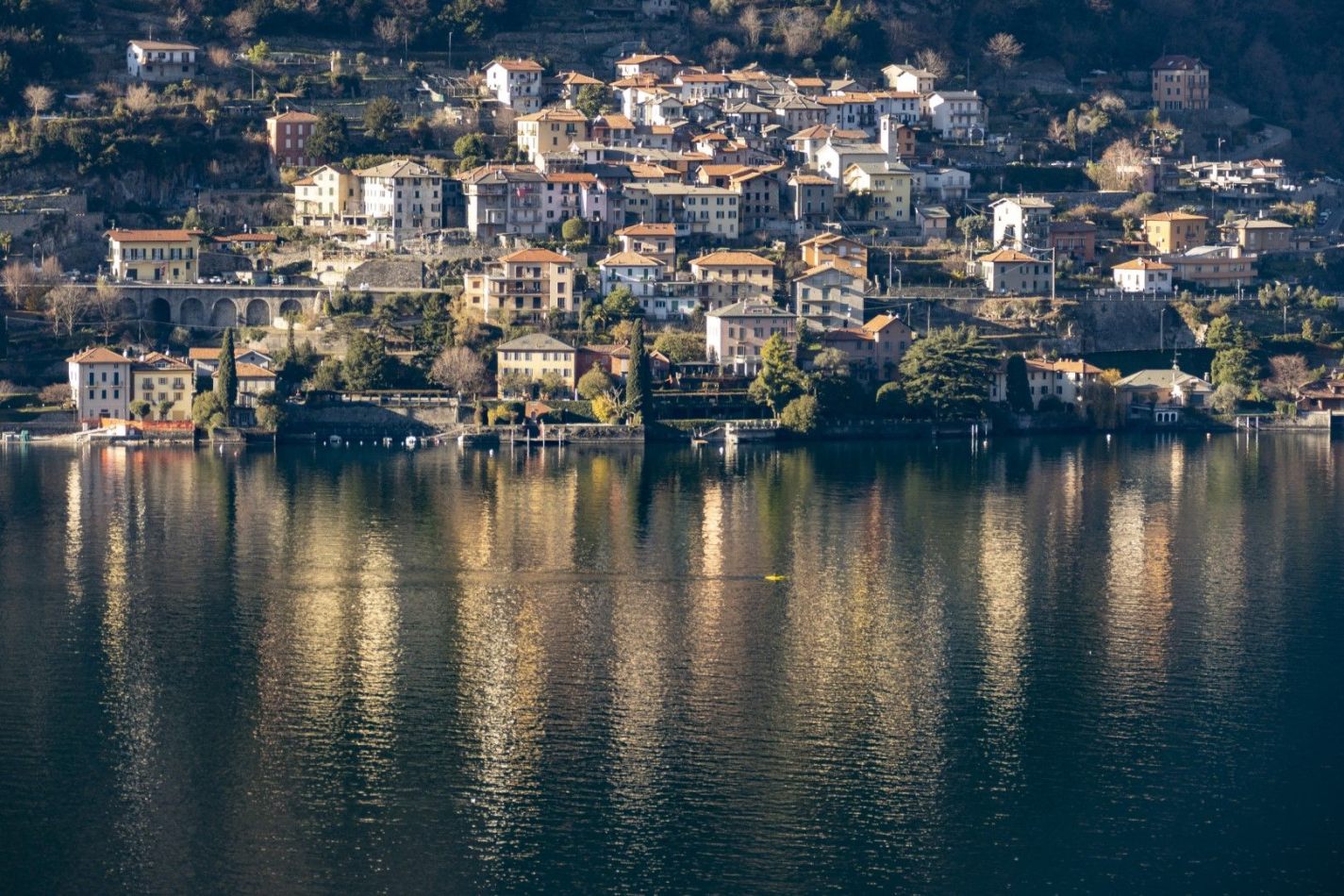 Storvandre: Pognana Lario