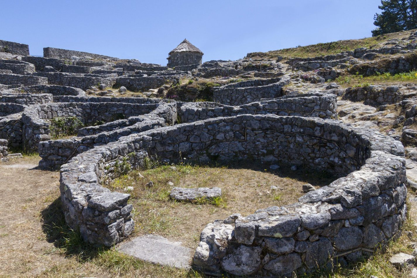 Storvandre: Santa Trega