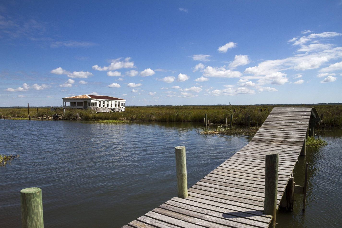 Storvandre: New Orleans