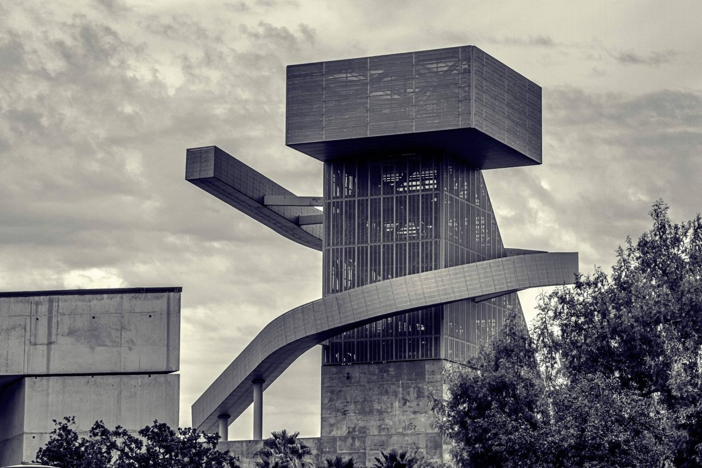 Storvandre: Los Angeles