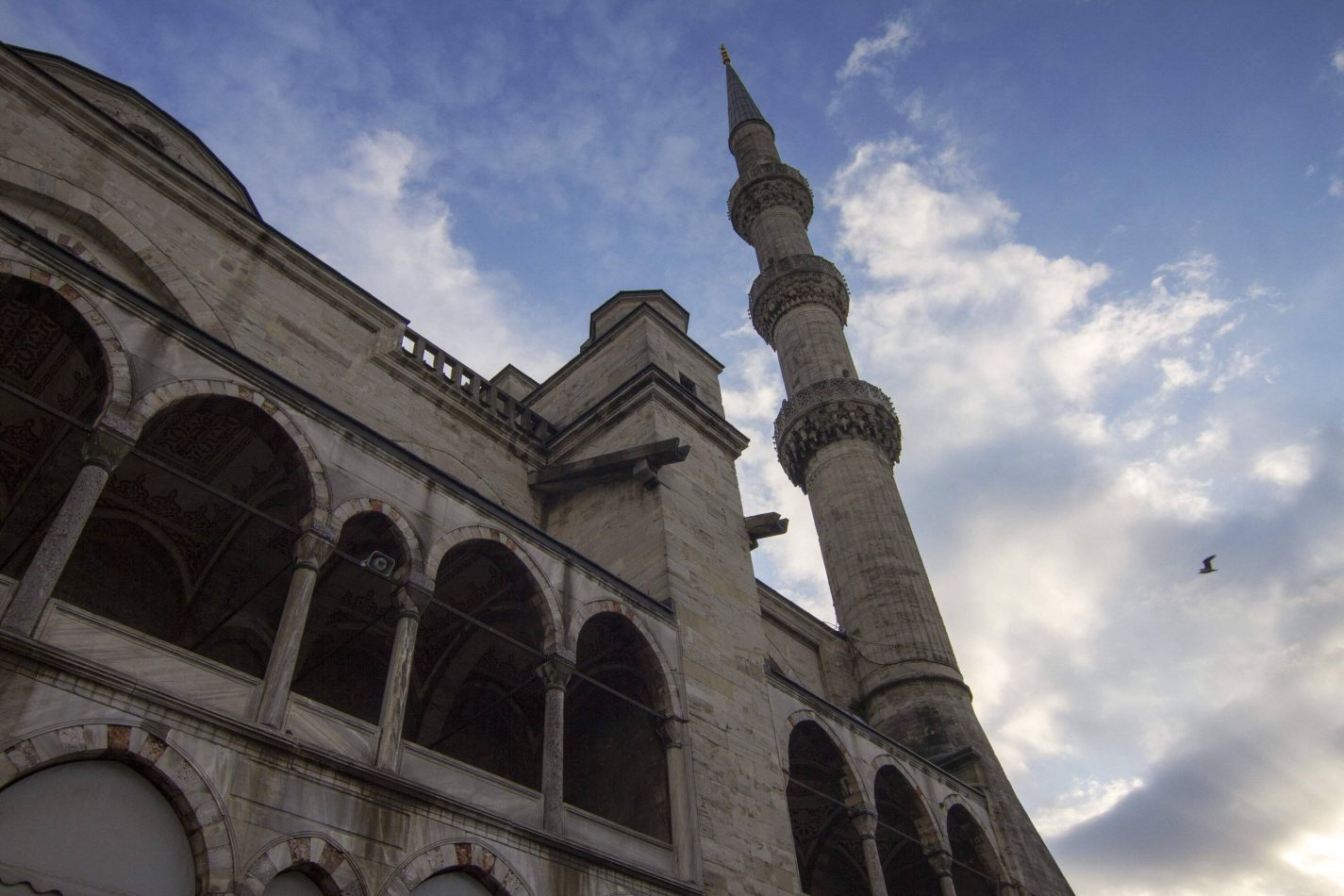 Storvandre: Istanbul