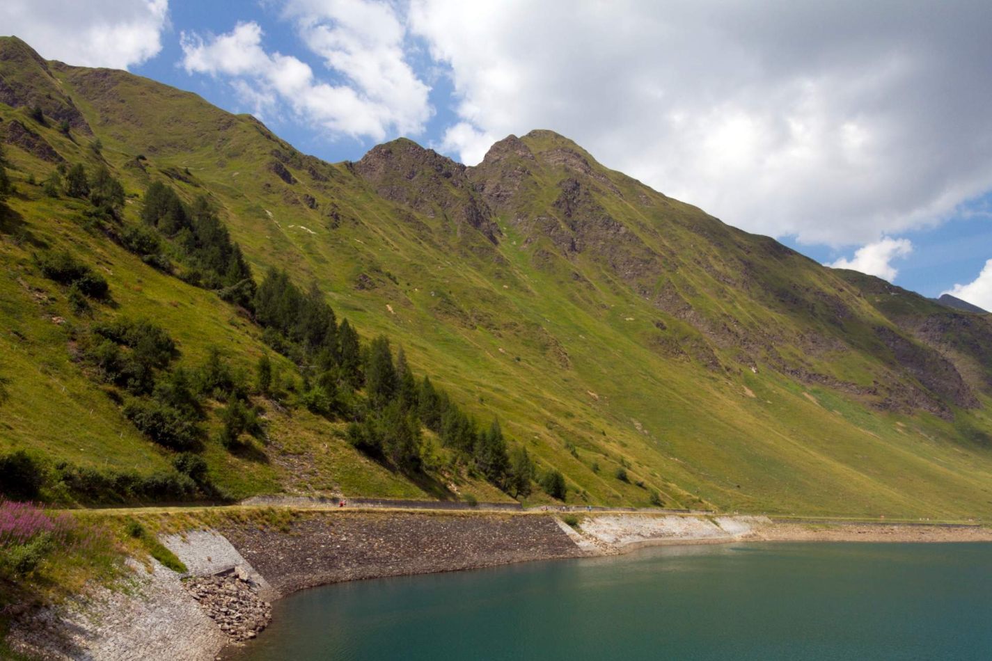 Storvandre: Ritom Lake