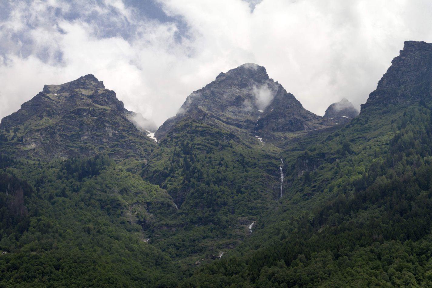 Storvandre: San Bernardino