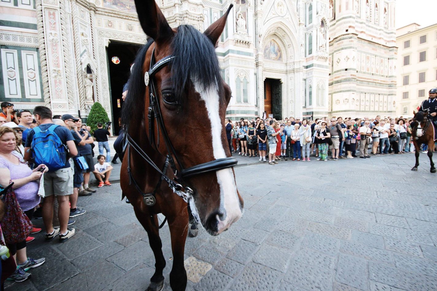 kctamvakisphotography: FLORENCE