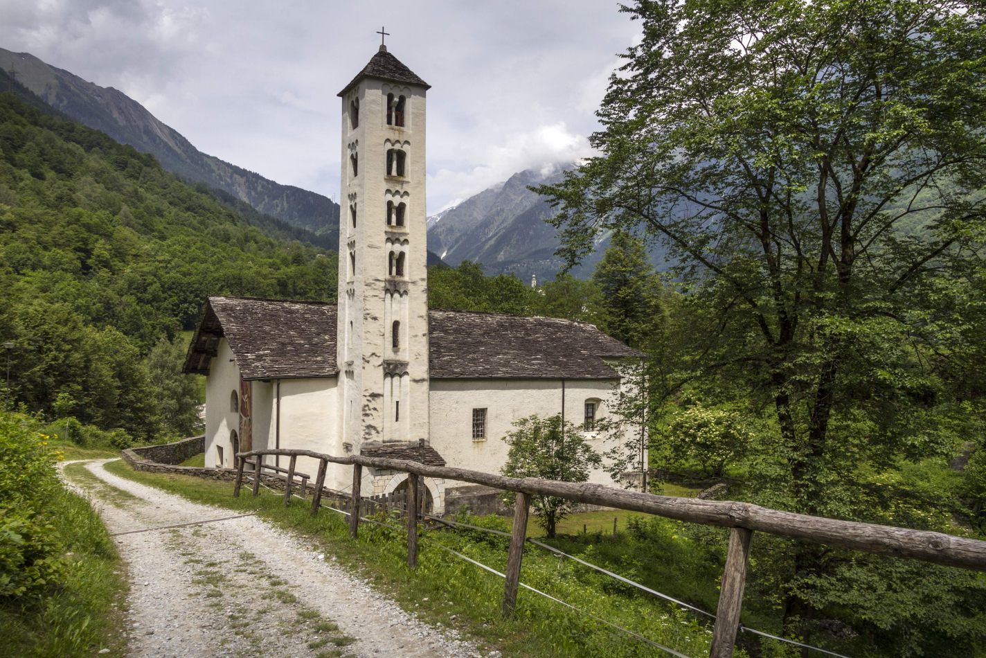 Storvandre: San Bernardino