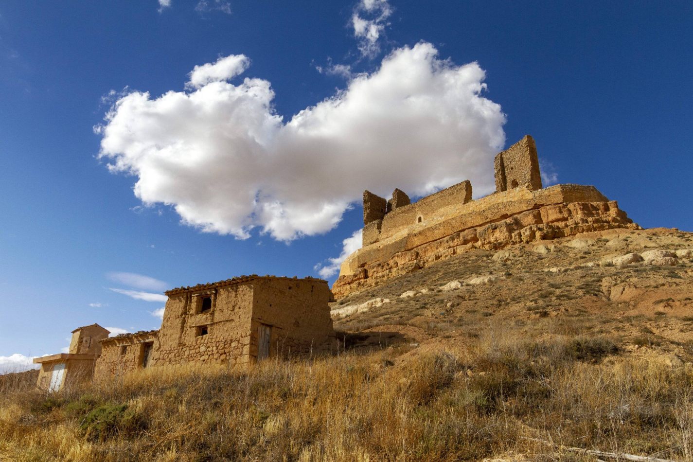 Storvandre: Montuenga