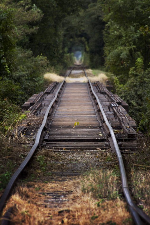 Storvandre: Mississippi