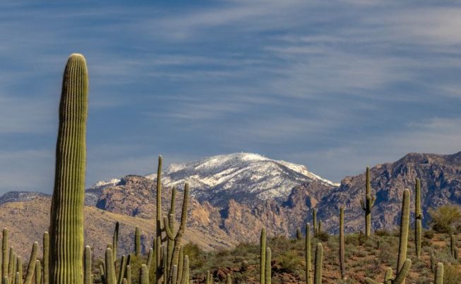 Tuscon a desert hike