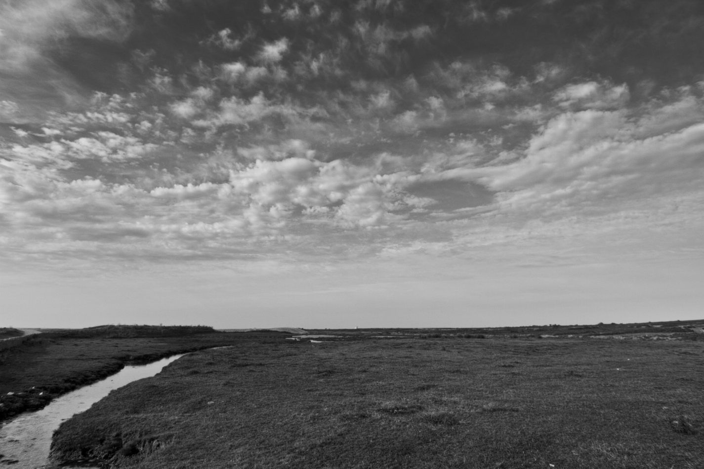 Storvandre: Cap de la Hague