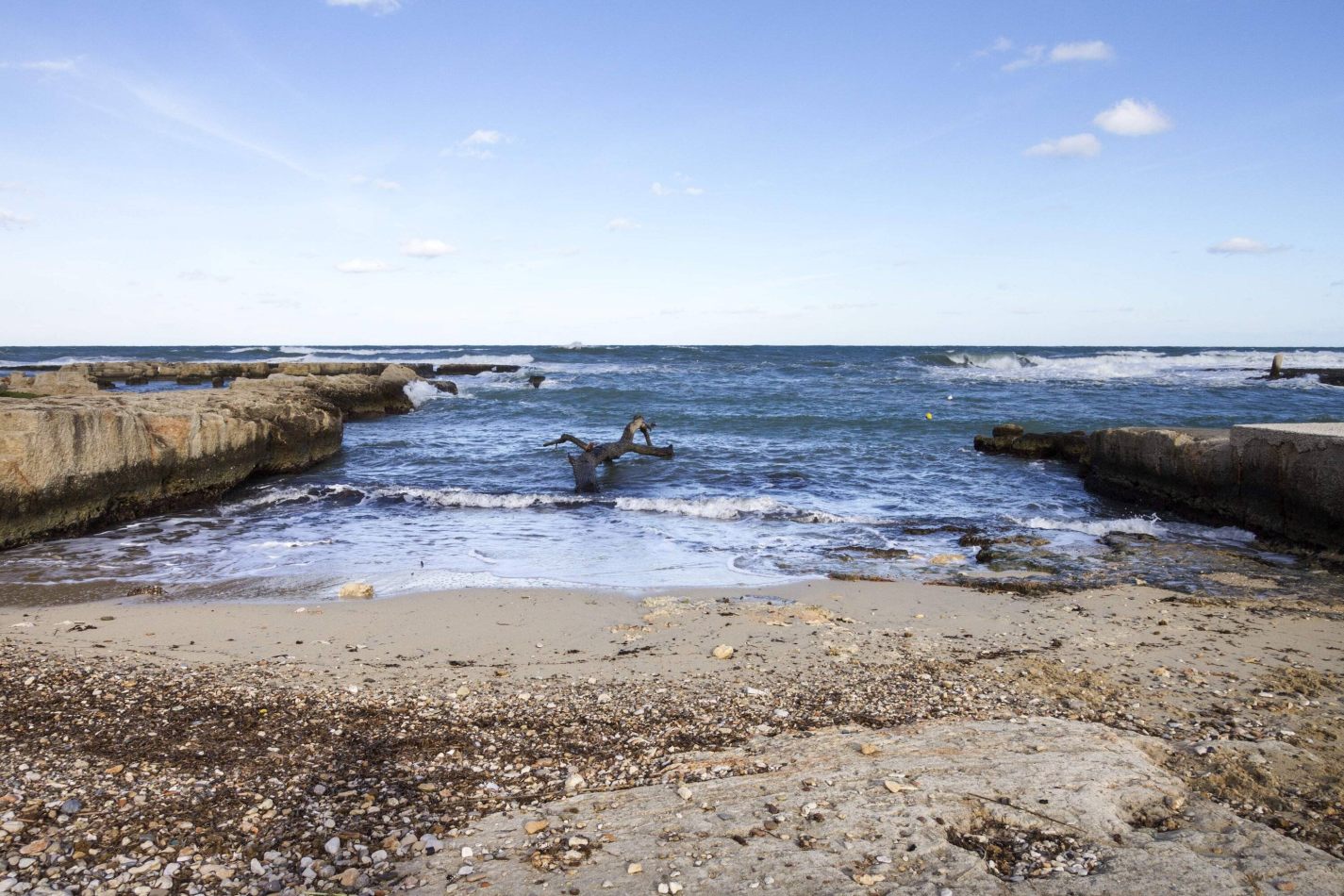 Storvandre: Polignano