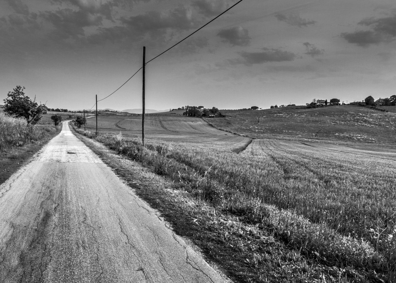 Storvandre: Magliano in Toscana