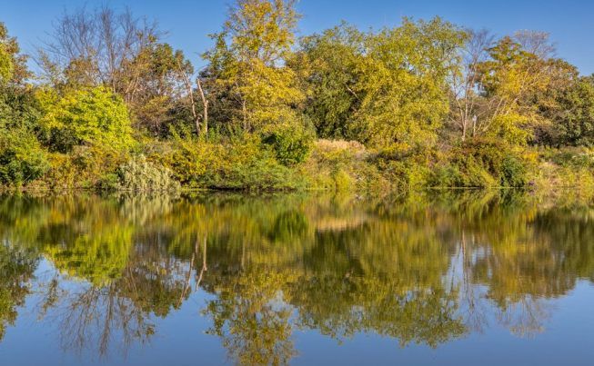 St  Louis History day