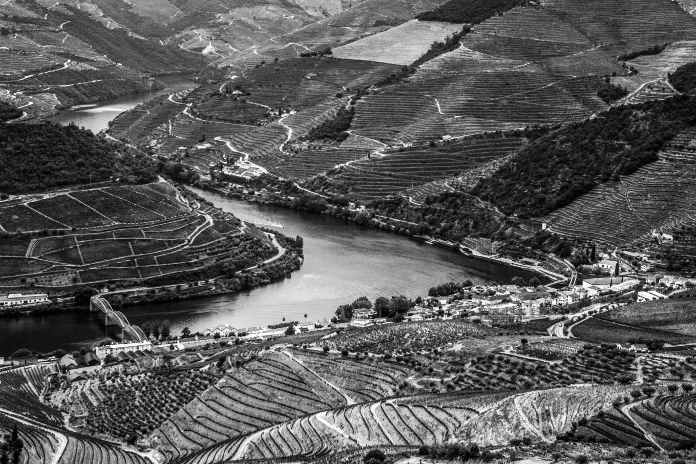 Storvandre: Douro Valley