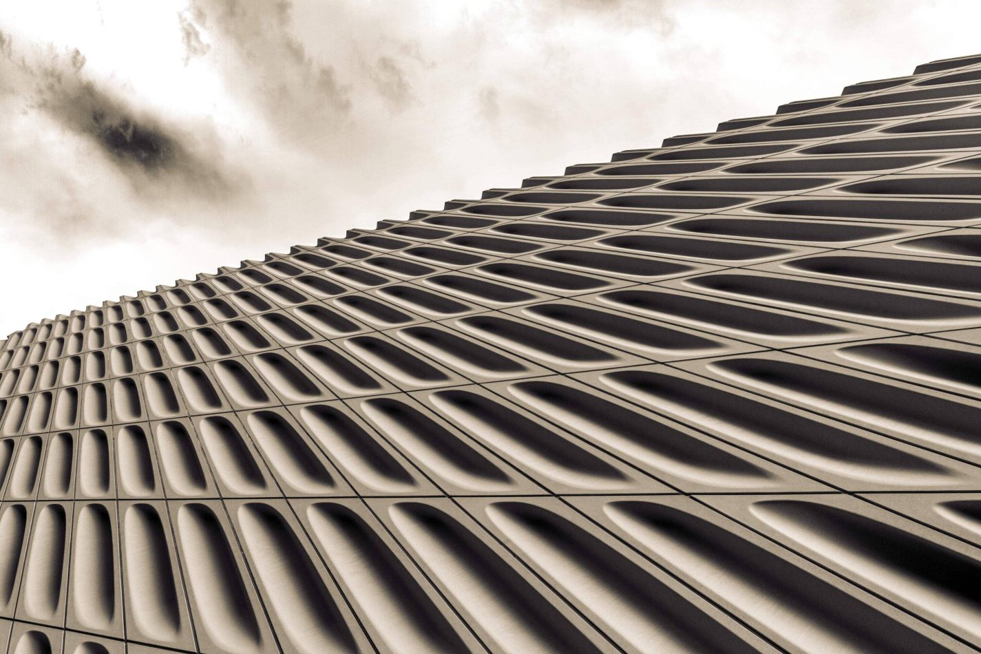 Storvandre: Los Angeles