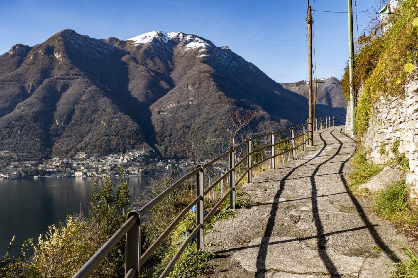 Storvandre: Pognana Lario