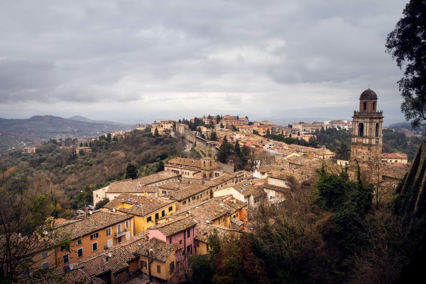 Storvandre: Perugia