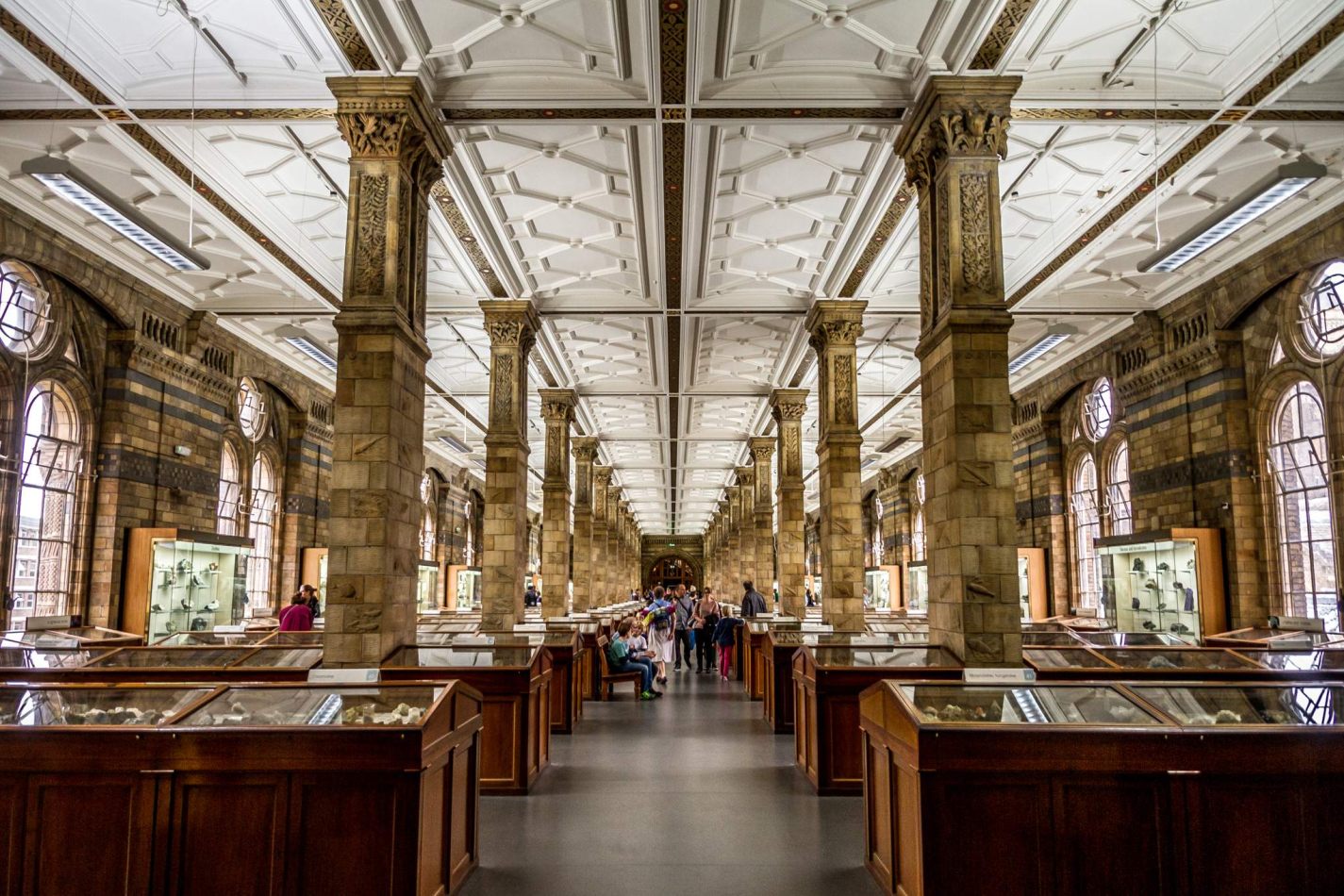 Storvandre: Natural History Museum