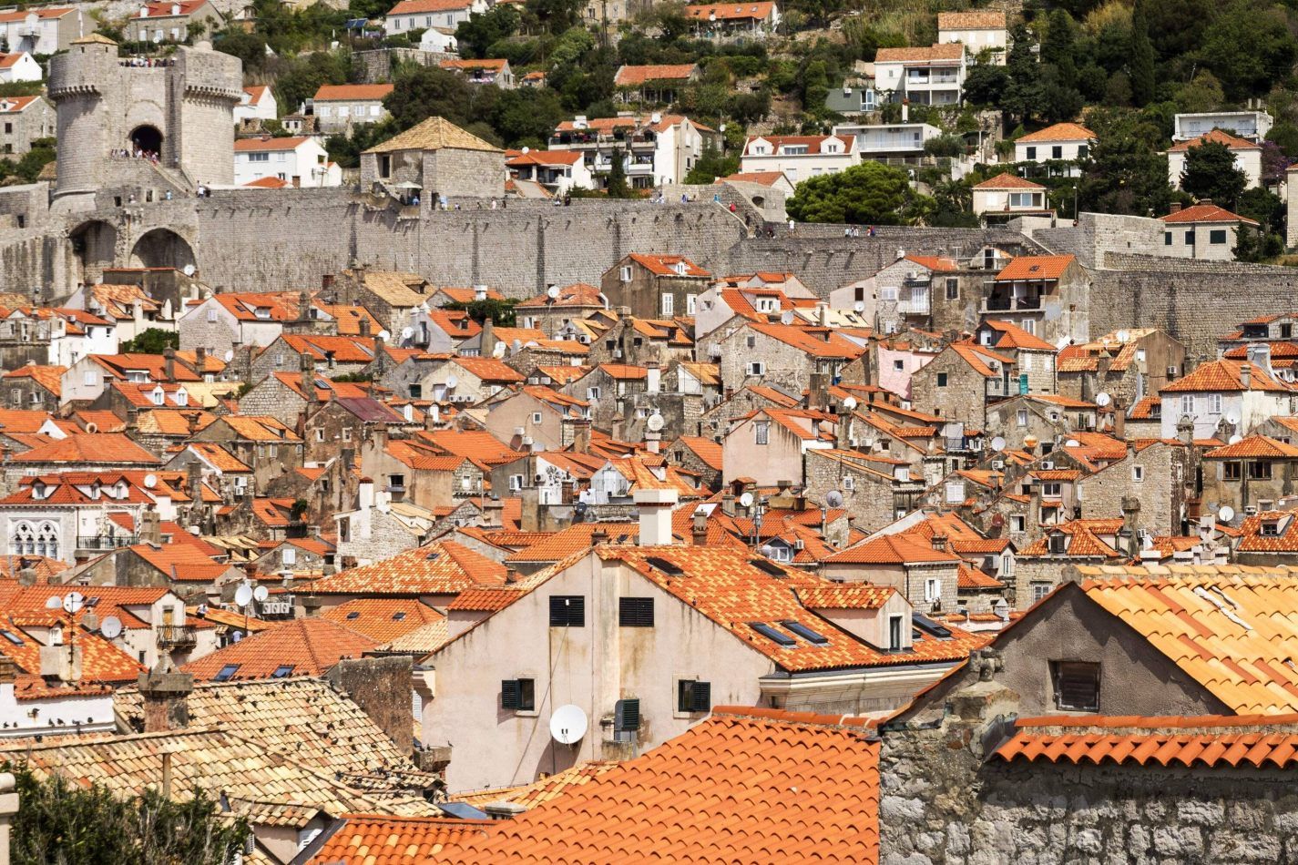 Storvandre: Dubrovnik