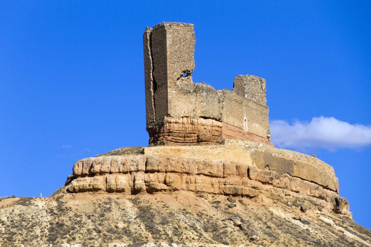 Storvandre: Montuenga