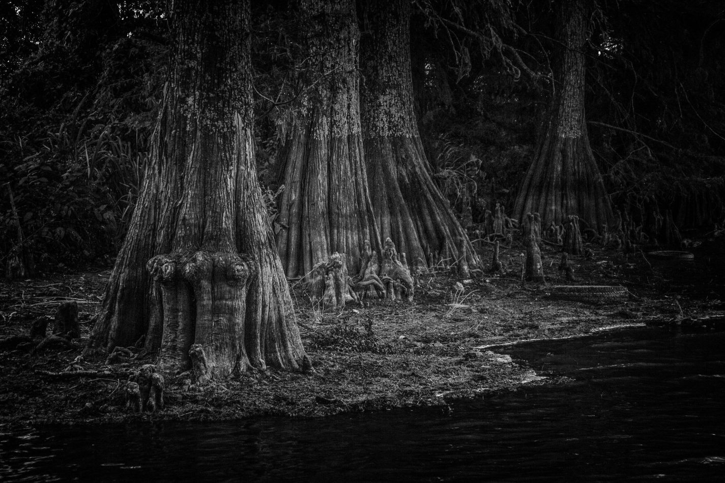 Storvandre: Mississippi