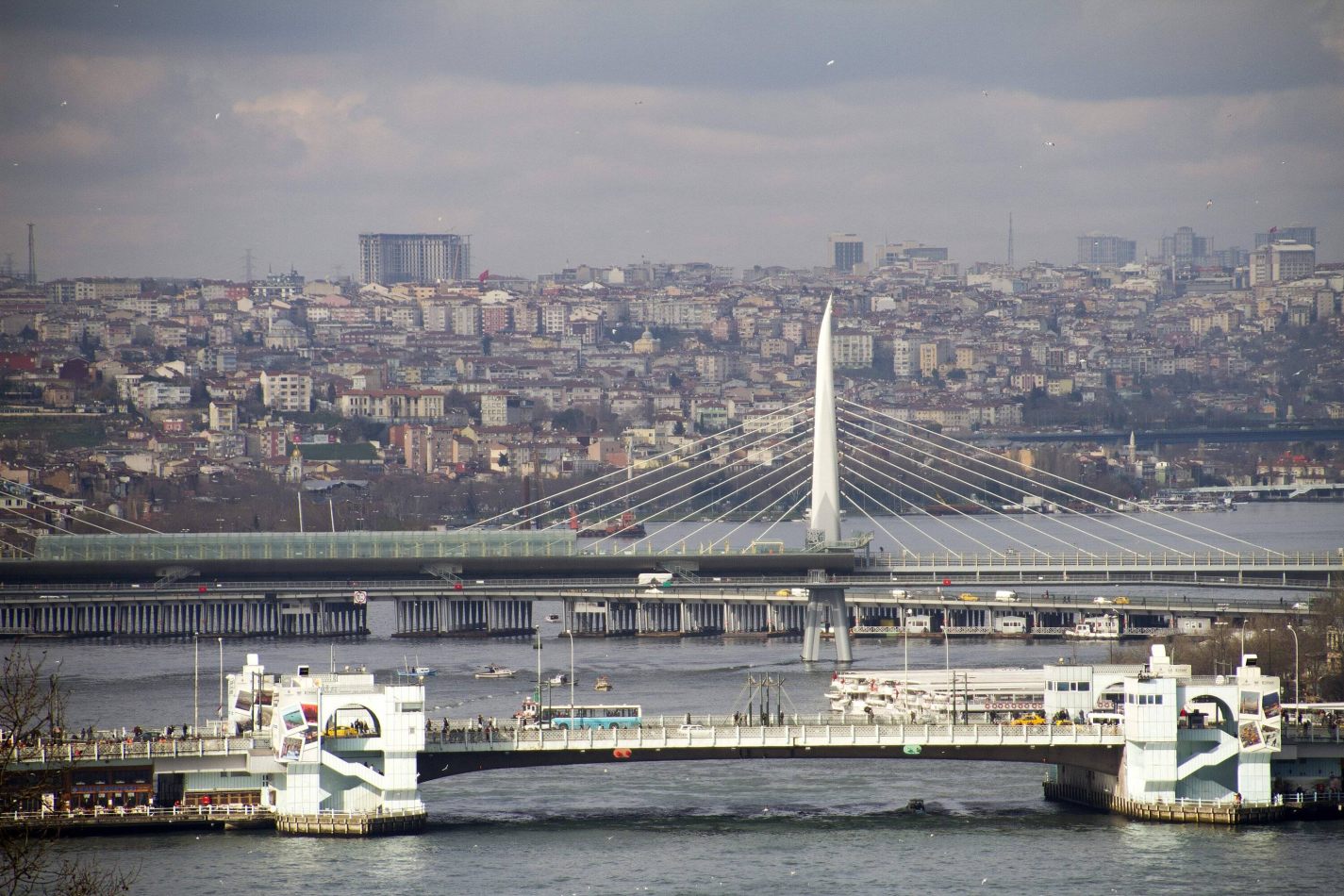 Storvandre: Istanbul