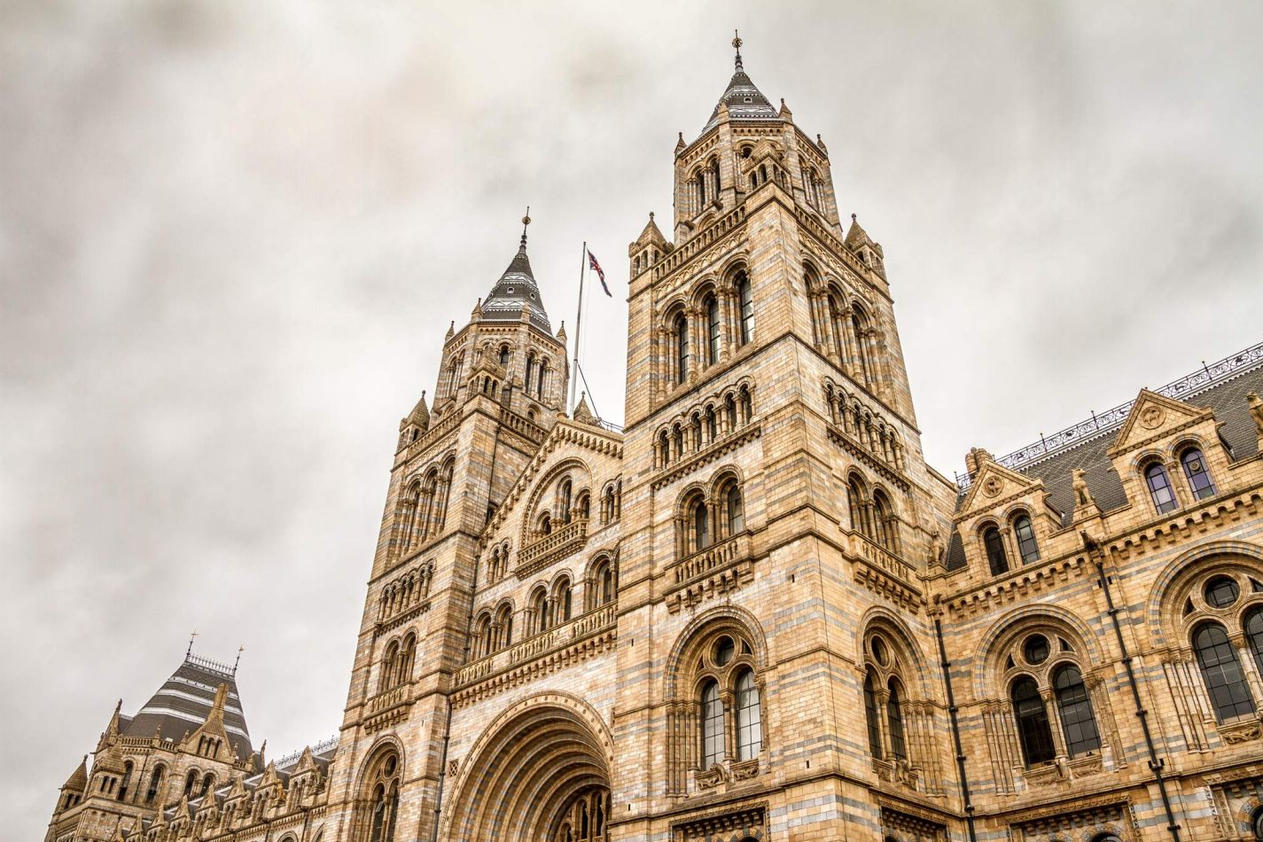 Storvandre: Natural History Museum