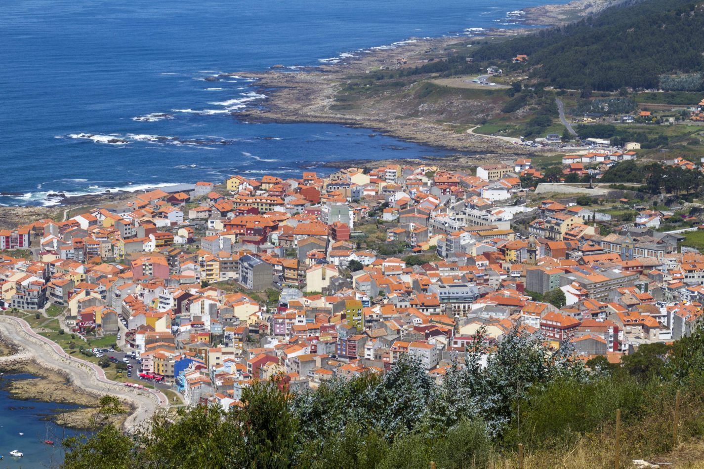 Storvandre: Santa Trega