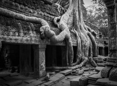 Agnkor Wat