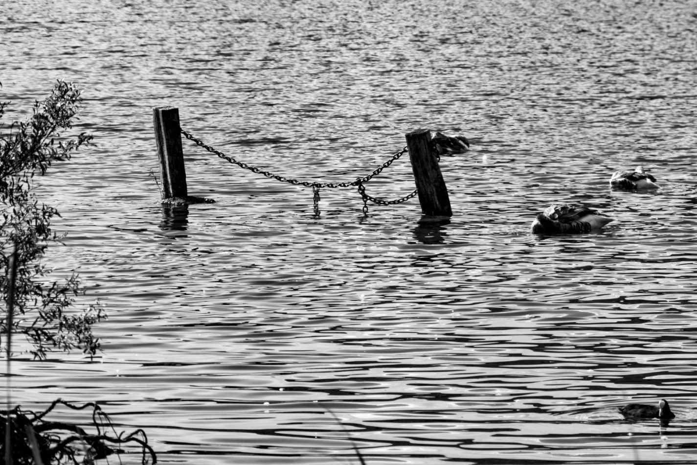 Storvandre: Lake Segrino