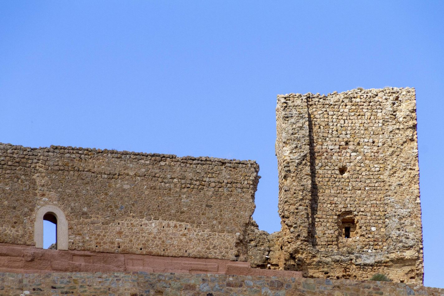 Storvandre: Montuenga