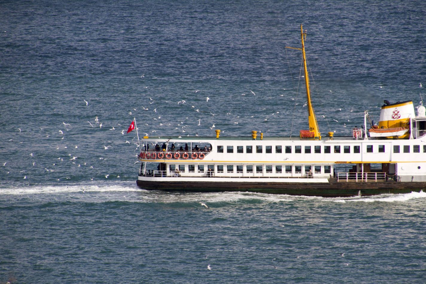 Storvandre: Istanbul