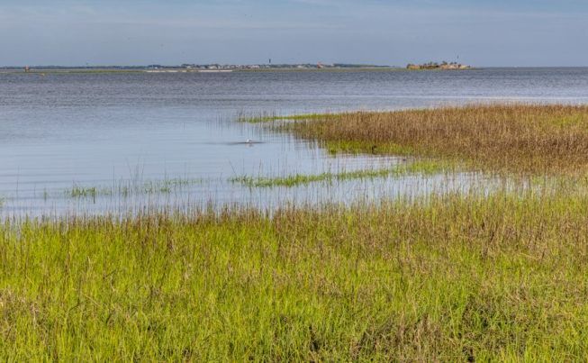 Columbia to Charleston