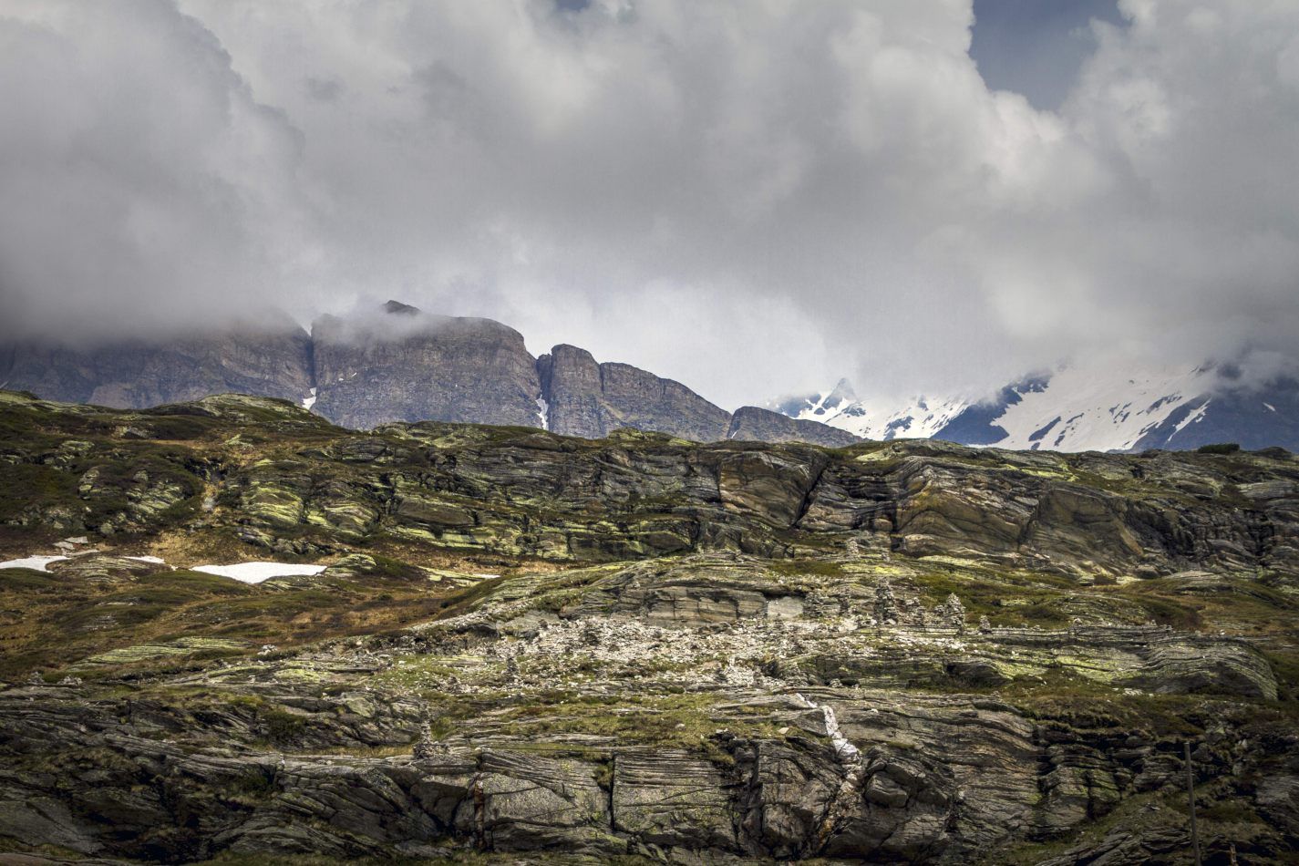 Storvandre: San Bernardino
