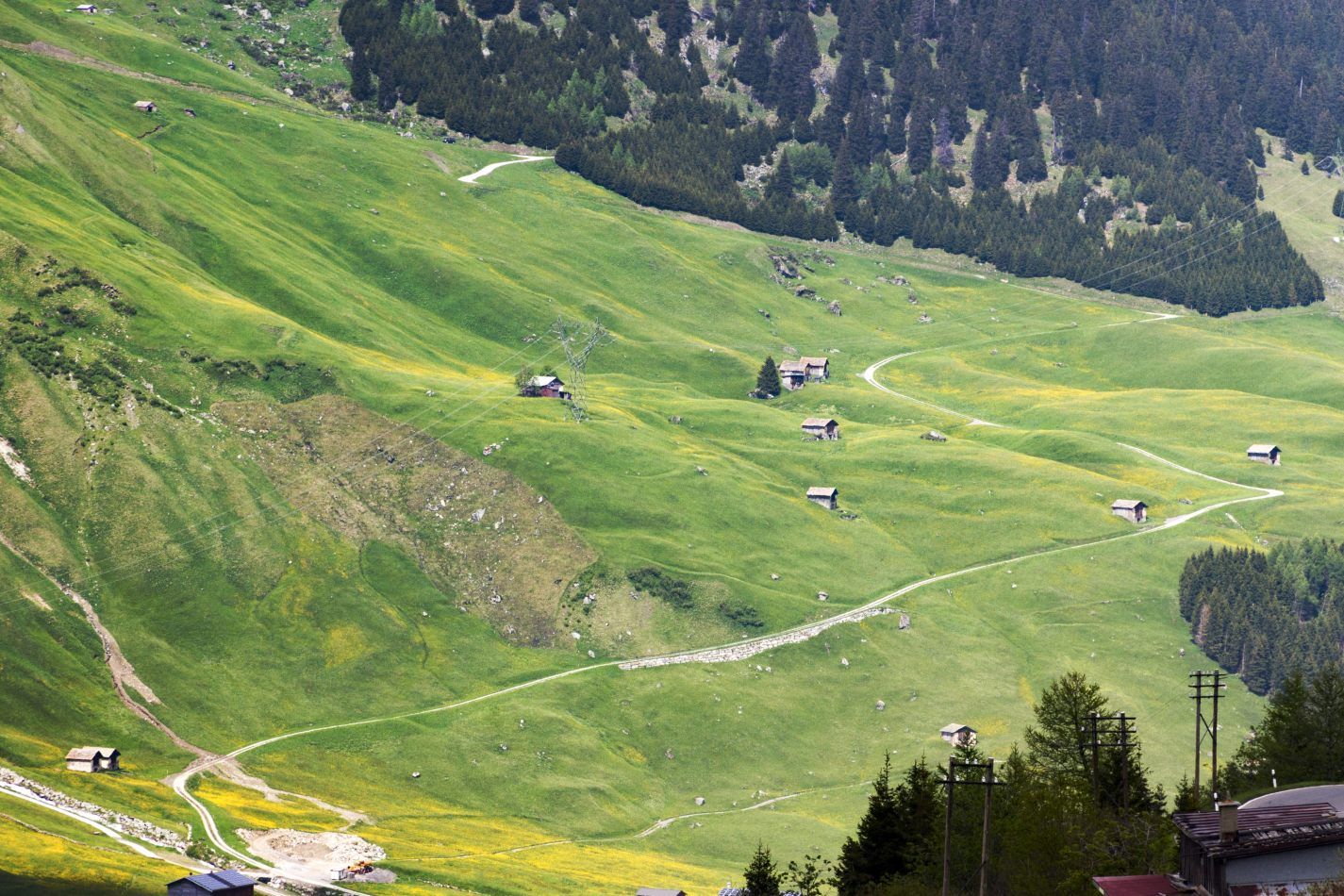 Storvandre: San Bernardino