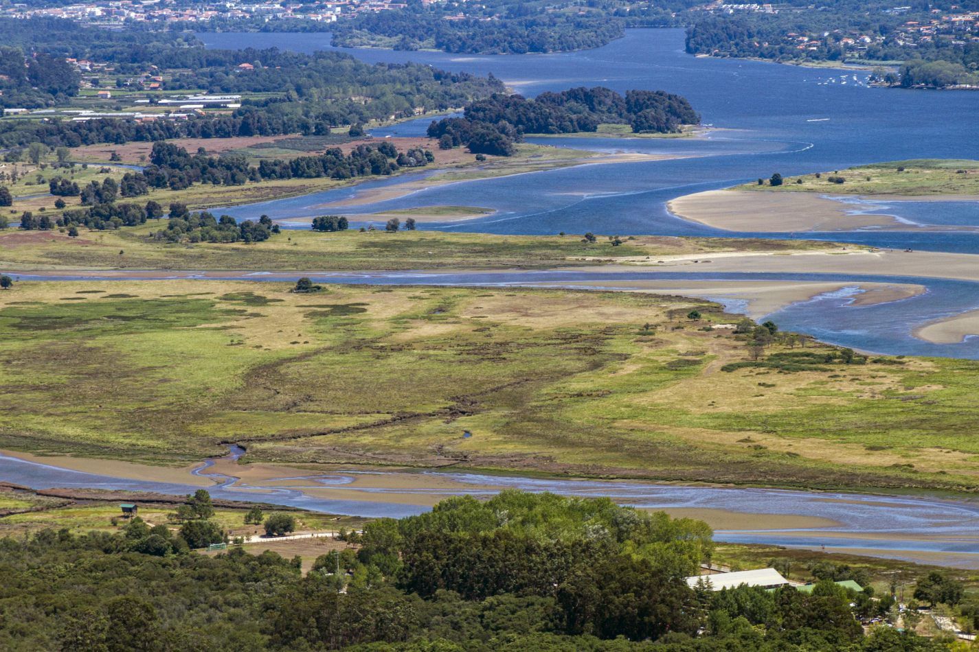 Storvandre: Santa Trega