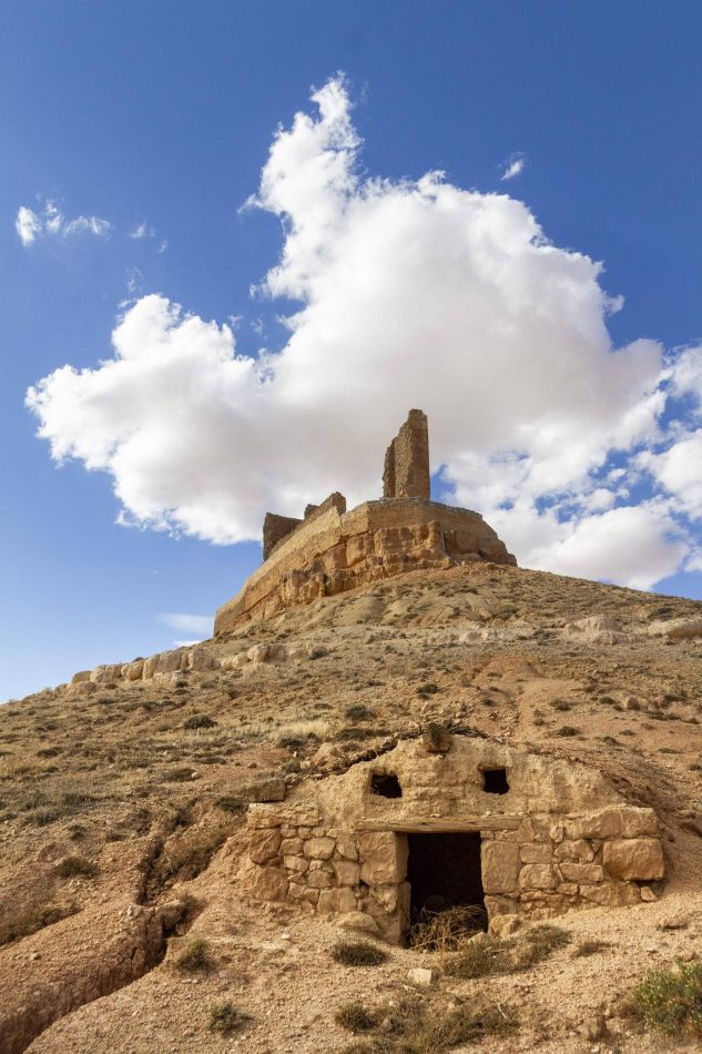 Storvandre: Montuenga