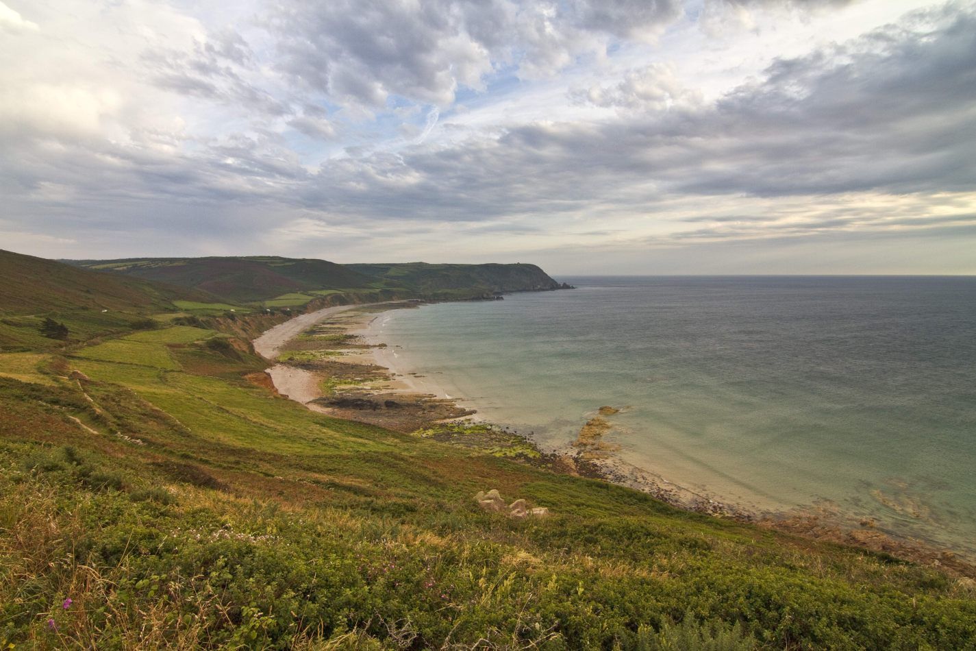 Storvandre: Cap de la Hague